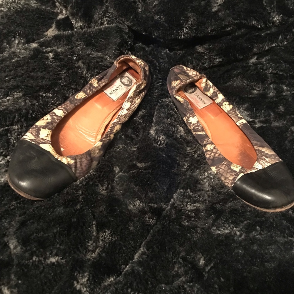 Lavin flats